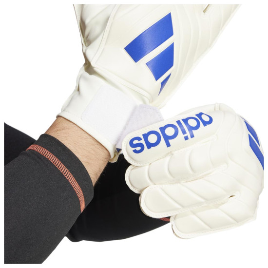 Adidas Γάντια τερματοφύλακα Copa Club Goalkeeper Gloves